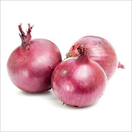 RED ONION / سرخ پیاز  /  लाल प्याज  /  بصل أحمر