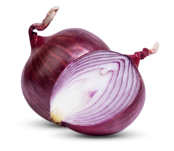 RED ONION / سرخ پیاز  /  लाल प्याज  /  بصل أحمر