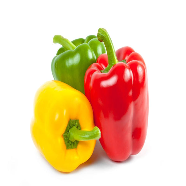 Bell peppers (capsicum) / الفليفلة  / शिमला मिर्च  / شملہ مرچ