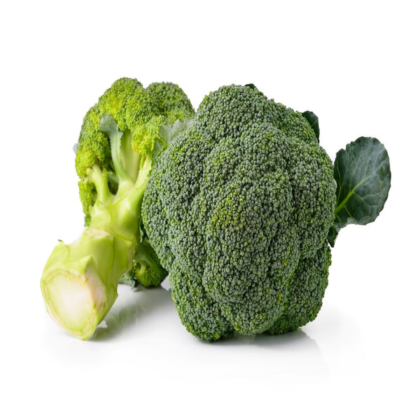 Broccoli/  ब्रोकली  /  بروکولی  /  بروكلي