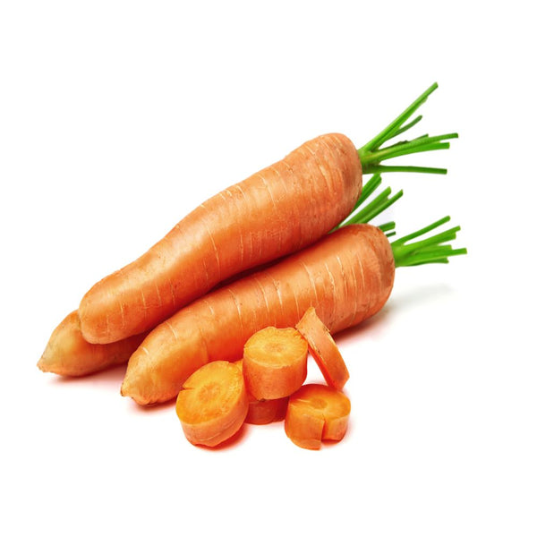 Carrot    /    جزرة  /  गाजर  / گاجر