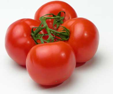 Tomato's  /  طماطم  /  टमाटर /  ٹماٹر